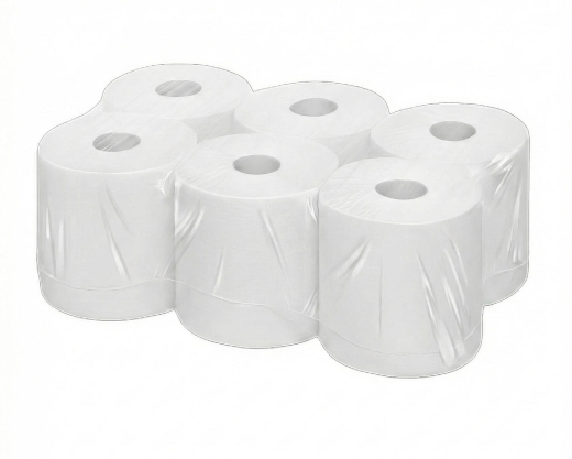Ecoline Handtuchpapier Innenabrollung 2-lagig, hülsenlos, Zellstoff, 450 Abrisse, 6 Rollen