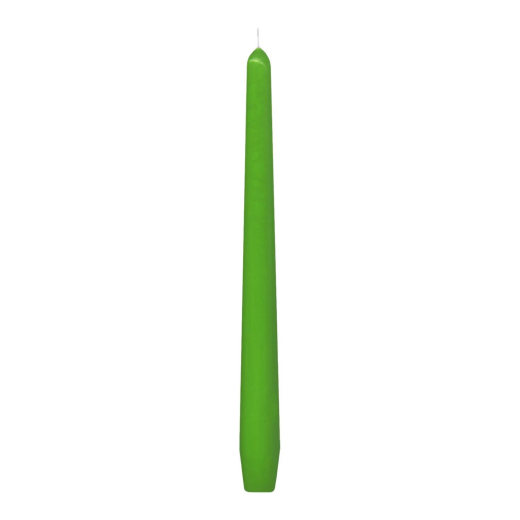 Spitzkerzen 245 mm, 8 Stunden Brenndauer, dunkelgrün, 10 Stk.