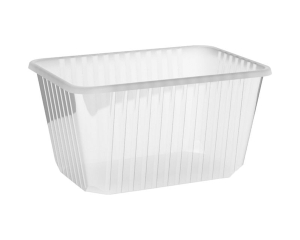 Rechteckschalen klar 1500 ml (PP), 50 Stk.